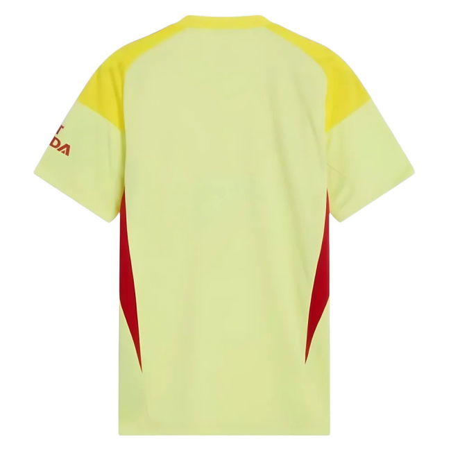 2025-2026 Arsenal Home Goalkeeper Shirt (Yellow) (Raya 22)