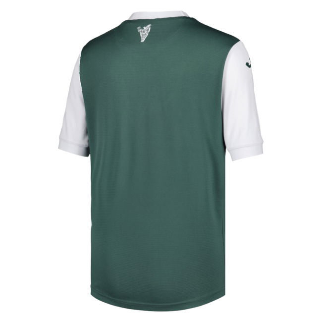 2025-2026 Hibernian Home Shirt - Kids