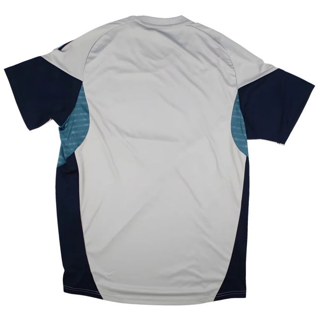 2025-2026 Arsenal Training Shirt (Grey Two) (Henry 14)