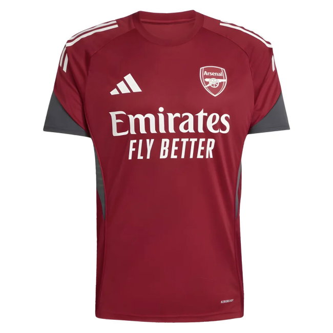 2025-2026 Arsenal EU Training Jersey (Burgundy) (Bergkamp 10)
