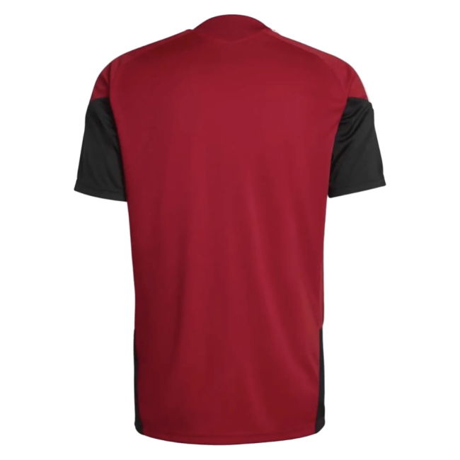 2026-2027 Germany Training Jersey (Red)