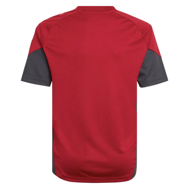 2025-2026 Liverpool Training Jersey (Strawberry Red) - Kids