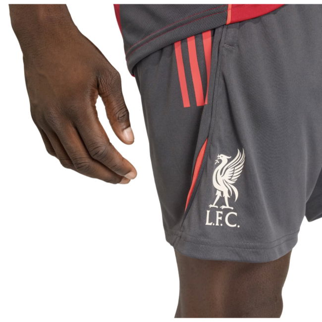 2025-2026 Liverpool Training Shorts (Utility Black)