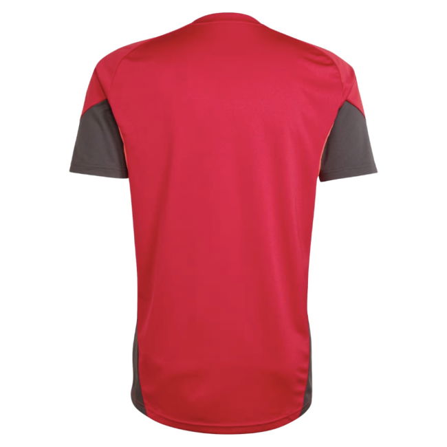 2025-2026 Liverpool Training Jersey (Strawberry Red)