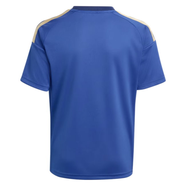 2026-2027 Italy Home Fan Jersey (Kids) (Barella 18)