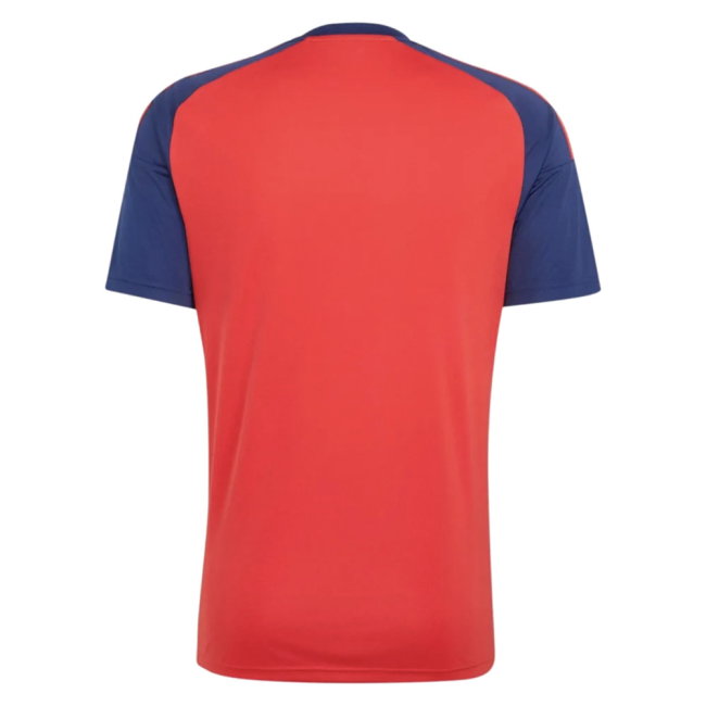 2026-2027 Spain Home Fan Jersey