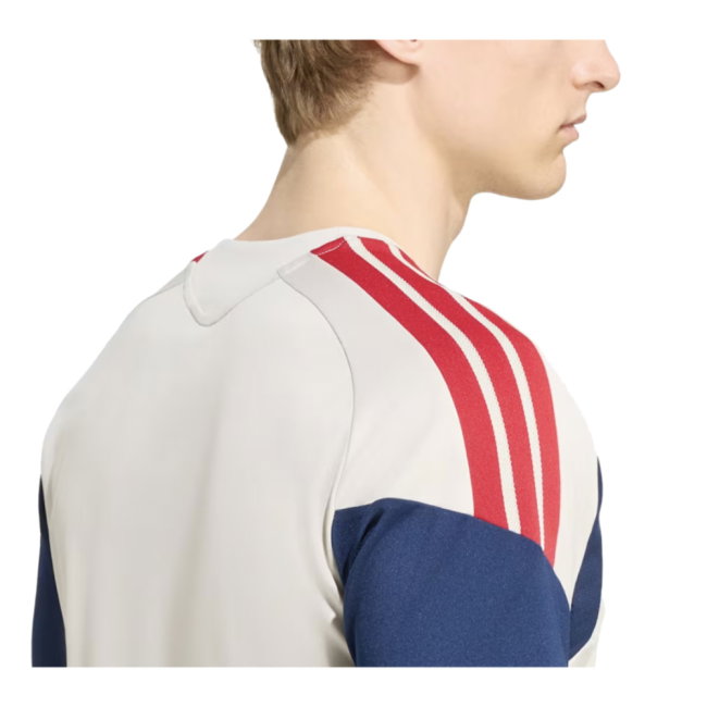 2026-2027 Bayern Munich Training Jersey (Alumina) (Karl 42)