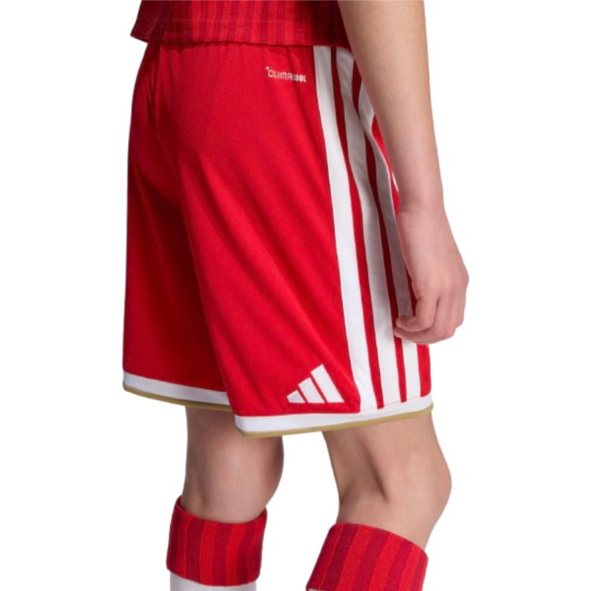 2026-2027 Bayern Munich Home Shorts (Red) - Kids