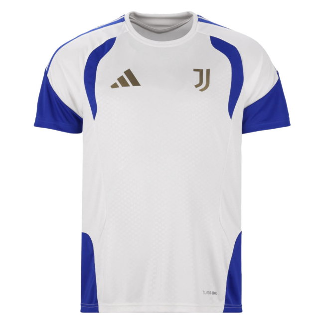 2026-2027 Juventus Training Jersey (Chalk White) (Del Piero 10)