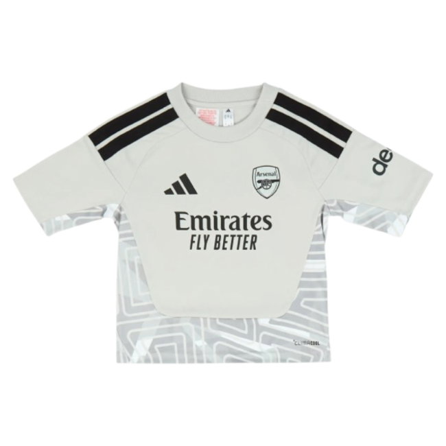 2026-2027 Arsenal Home Goalkeeper Mini Kit (Grey)