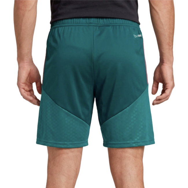 2026-2027 Real Madrid Training Shorts (Aurora Ivy) - Kids