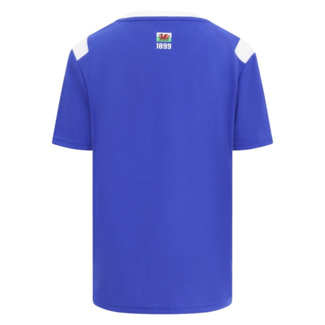 2026-2027 Cardiff City Home Shirt