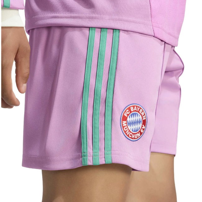 2026-2027 Bayern Munich Away Goalkeeper Shorts (Purple)