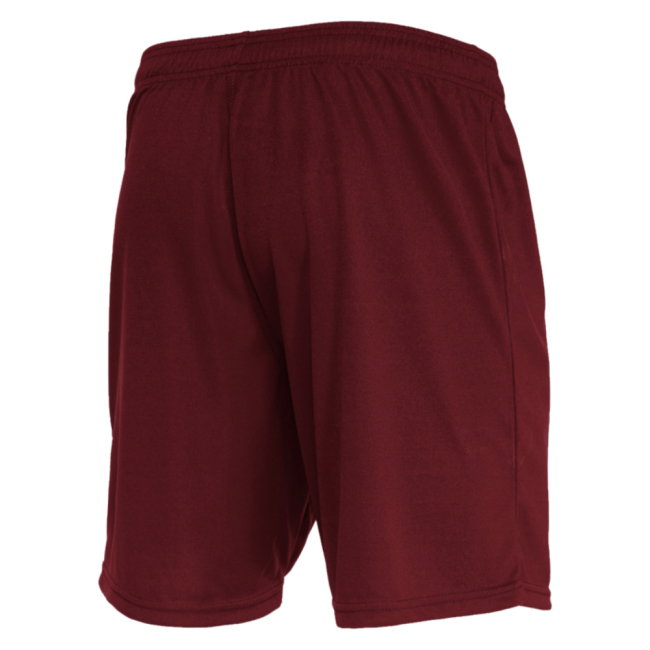Mesa Hero Shorts (Purple)