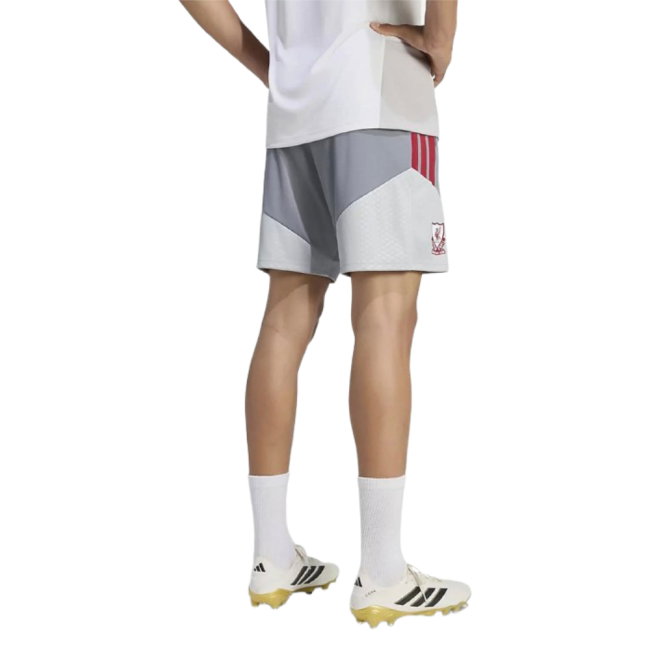 2026-2027 Liverpool EU Training Shorts (Grey)