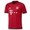 Bayern Munich 2015-16 Home Shirt (L) Thiago #6 (Fair)