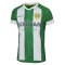 Hammarby 2020-21 Home Shirt ((Excellent) M) (Your Name)