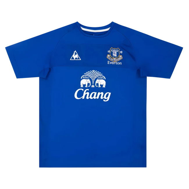 Everton 2010-11 Home Shirt (Saha #8) (S) (Very Good)