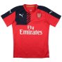 Arsenal 2015-16 Puma Training Shirt (M) (BERGKAMP 10) (Fair)
