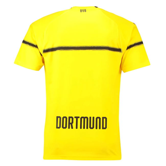 Borussia Dortmund 2018-19 European/Cup Home Shirt (L) (Very Good)
