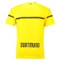 Borussia Dortmund 2018-19 European/Cup Home Shirt (L) (Very Good)