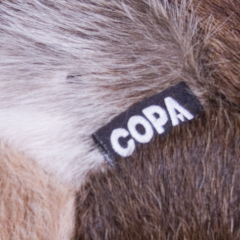 COPA Cow Football
