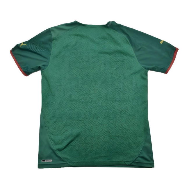 Cameroon 2010-11 Home Shirt ((Excellent) L)