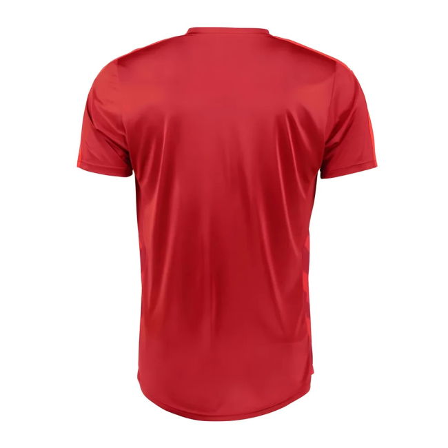 Czech Republic 2016-17 Home Shirt (XL) (Good)