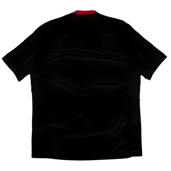 England 2010-11 Umbro Training Shirt (S) (Mint)