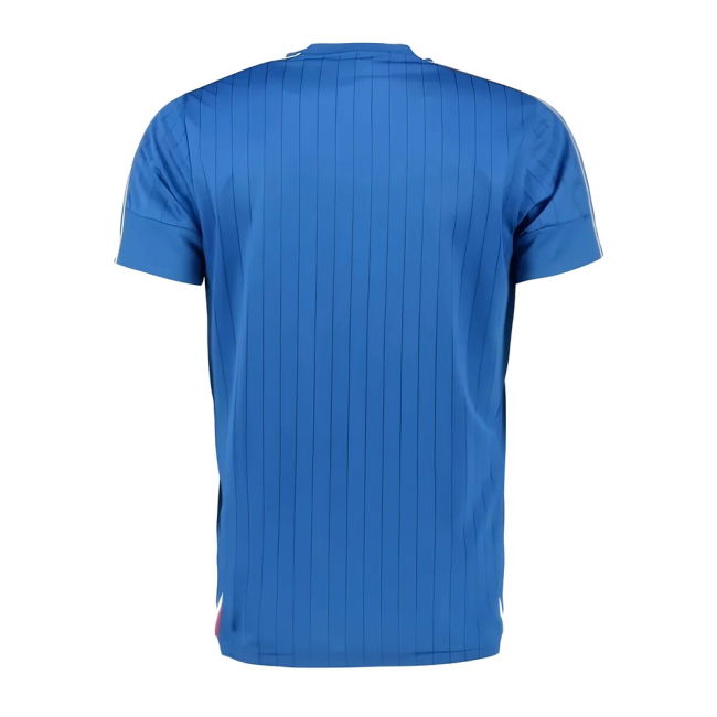 Italy 2016-17 Home Shirt (L) (Excellent)