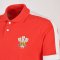 Wales Rugby World Cup Polo