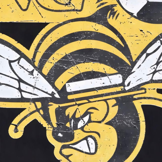 Chicago Sting - Black T-Shirt