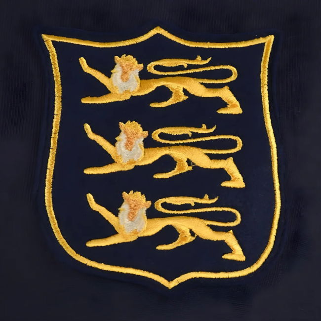 British &amp; Irish Lions 1930s Vintage Rugby Shirt