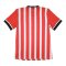 Southampton 2016-17 Home Shirt (L) (Excellent)