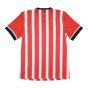 Southampton 2016-17 Home Shirt (L) (Excellent)