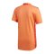Spain 2020-21 Home Goalkeeper Shirt (L) (BNWT)