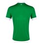Werder Bremen 2014-15 Home Shirt (L) (Mint)