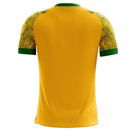 South Africa 2023-2024 Home Concept Football Kit (Airo)