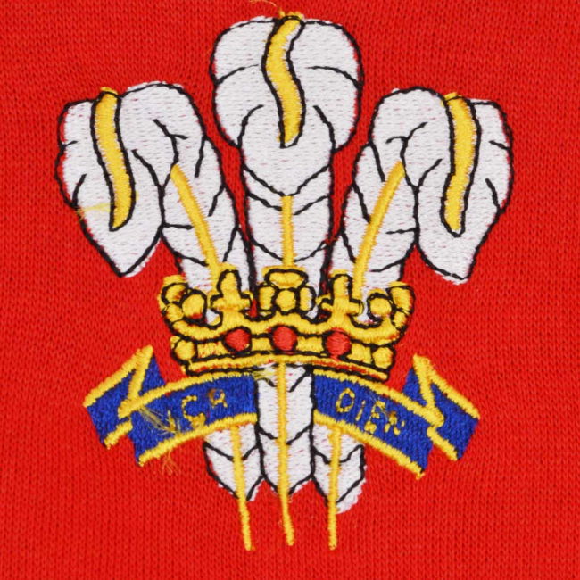 Kids Wales Hoodie - Red/White