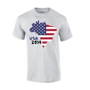 Usa 2014 Country Flag T-shirt (grey)