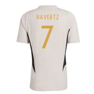 2022-2023 Germany Training Jersey (Alumina) (Havertz 7)