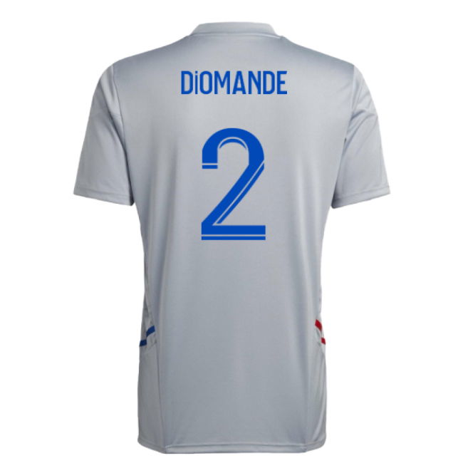 2022-2023 Olympique Lyon Training Jersey (Halo Silver) (Diomande 2)