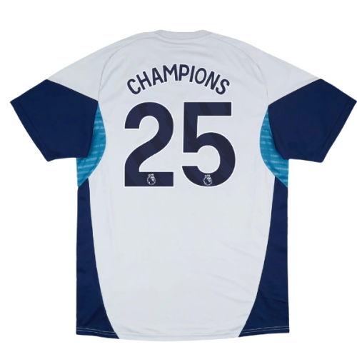 2025-2026 Arsenal Training Shirt (Grey Two) (Champions 25)