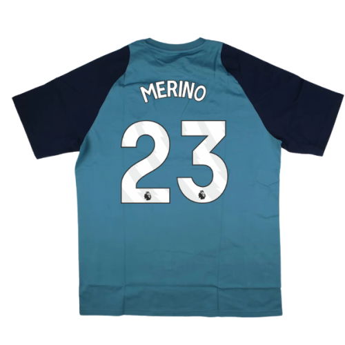 2025-2026 Arsenal Training Tee (Blanch Blue) (Merino 23)