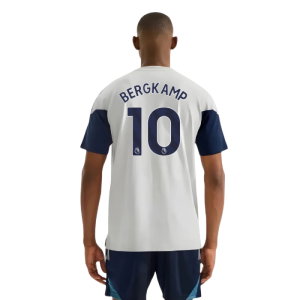 2025-2026 Arsenal Training Tee (Grey) (Bergkamp 10)