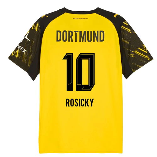 2025-2026 Borussia Dortmund Warm Up Jersey (Yellow) (Rosicky 10)