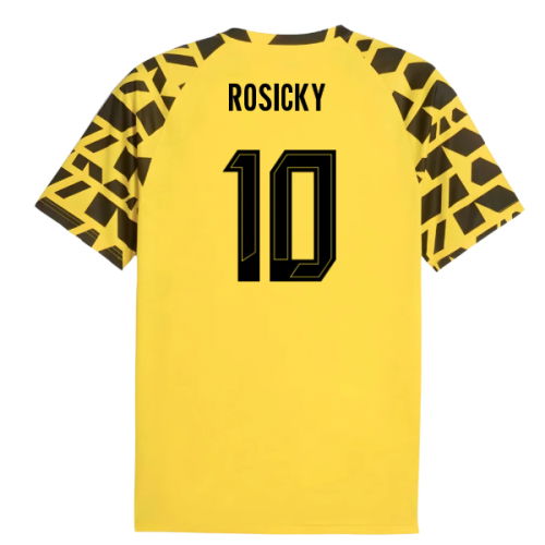 2025-2026 Borussia Dortmund Warm Up Jersey (Yellow) (Rosicky 10)