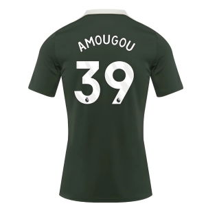 2025-2026 Chelsea Dri-Fit Strike Training Shirt (Green) (Amougou 39)
