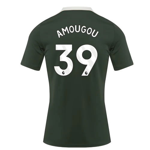 2025-2026 Chelsea Dri-Fit Strike Training Shirt (Green) (Amougou 39)