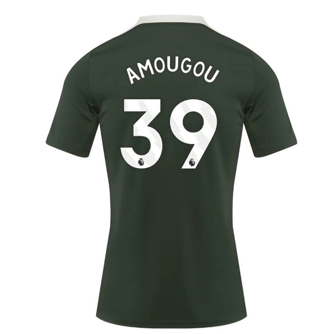 2025-2026 Chelsea Dri-Fit Strike Training Shirt (Green) (Amougou 39)